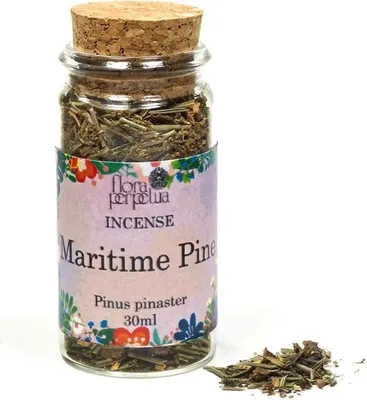 Image de Pin maritime (Mexique) Encens -- 6 g ; 30 ml