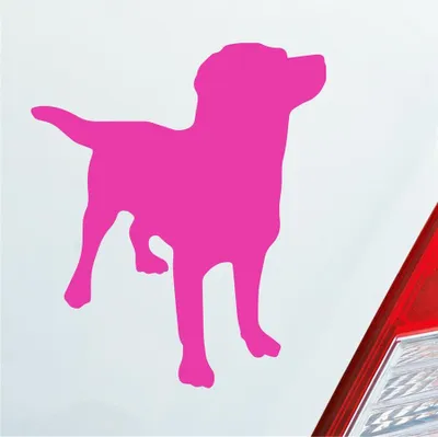 Produktbild von Auto Aufkleber Labrador Labbi Retriever Dog Hund Dog Tier 10x12 cm Pink Sticker Heckscheibenaufkleber