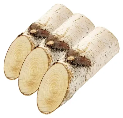 Produktbild von Birkenstämmchen mit Rinde, ca. 15cm, 3 Stück