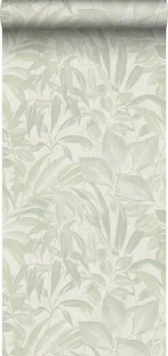 Zdjęcie produktu dla Sanders & Sanders Tapeta przejrzeć szaro zielonym 53 cm x 10 m