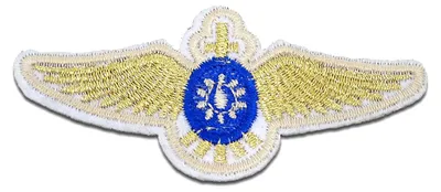 Obrázok produktu pre Spiritual Wings - záplata, nažehľovačka, nažehľovací obrázok, nášivka, nažehľovačka, veľkosť: 7,5 x 3,4 cm