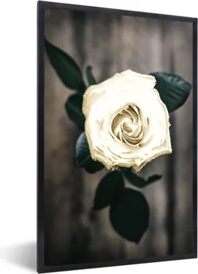 Produktbild von MuchoWow® MuchoWow® Gerahmtes Poster Blume - Weiß - Grau 40x60 cm - Poster mit zchwarzem Bilderrahmen - Papierdruck - Wandbilder