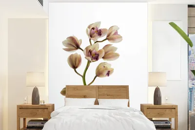 Produktbild von MuchoWow® Fototapete für Wohnzimmer oder Schlafzimmer Wandtapete Vinyl Motivtapete Die blühenden Orchideen - 205x280 cm - Wandbild