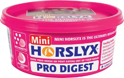 Produktbild von Derby Horslyx Pro Digest 650 gr.