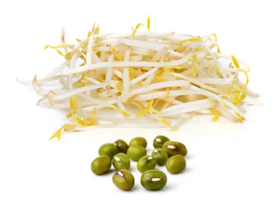 Produktbild von 500 g Mungobohnen Samen  Keimsaat für Sprossen & Microgreens Asia Gemüse