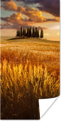 Produktbild von MuchoWow® Poster Toskana - Italien - Landschaft 60x120 cm - Wandschmuck