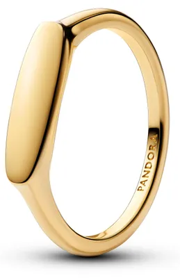 Produktbild von Pandora Gravierbarer Stabring 163986C00 Damenring, Ringgröße:48