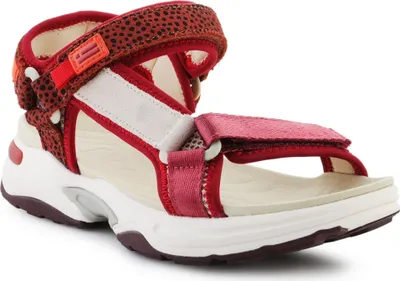 Image de Chaussures D.Frankliny DFSH406003BURG
