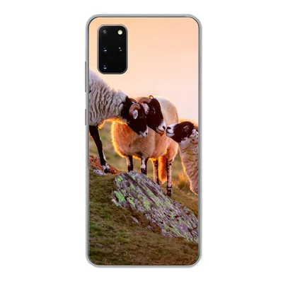 Produktbild von MuchoWow® Handyhülle Schutzhülle Hülle für Samsung Galaxy S20 Plus Schafe - Tiere - Sonnenuntergang Silikon Softcase Handy Hülle - Hartschale