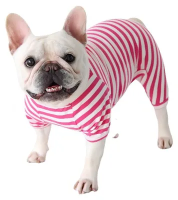 Immagine prodotto di Abbigliamento per cani di taglia grande - Pigiama a righe intero per cani di piccola e media taglia