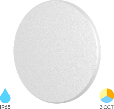 Produktbild von Braytron LED Außen Wandleuchte 10W Warmweiß Neutralweiß Kaltweiß 3CCT 950 lm Rund Weiß Kunststoff IP65