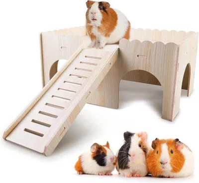 Produktbild von Holz-Kaninchenburg für Meerschweinchen 38x24x24cm