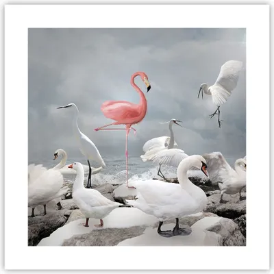 Produktbild von Poster - Poster ohne Rahmen - Flamingo Schwan Fantasie - 40x40 cm - Wand Bild - Wanddeko - Wandbilder - Kunstposter - Wandposter - Bilder - Kunstdruck - Wanddekoration - Wandbild - P2XAC40x40-4929