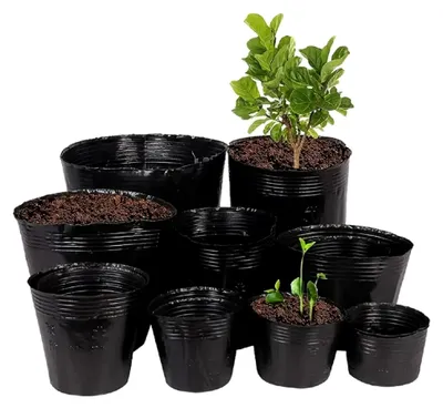 Produktbild von Anzuchttöpfe Anzuchtschale Aussaattöpfe Ziehtöpfe Anzuchttopf SCHWARZ, 2 Modelle (100, Ø 6 cm)