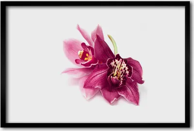 Produktbild von Bild 60x40 MDF-Rahmen Wandkunst Blumen Pflanzen Natur