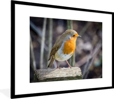 Produktbild von MuchoWow® Gerahmtes Poster Rotkehlchen - Winter - Holz 80x60 cm - Poster mit Schwarzem Bilderrahmen Wandposter Rahmen Foto Bilder - Schlafzimmer-Dekorationen - Fotoposter