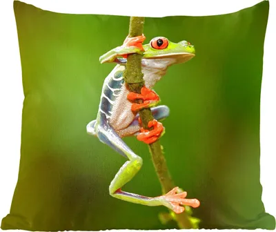 Produktbild von MuchoWow® Zierkissen Sofakissen Wohnzimmer Dekokissen 45x45 cm Rotaugenlaubfrosch im Dschungel - Schlafpolster - Polster für das Sofa