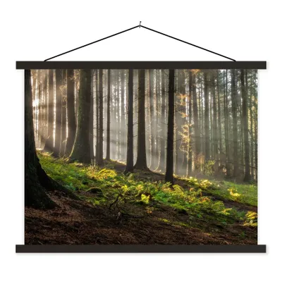 Produktbild von MuchoWow® Textilposter Sonne - Äste - Bäume - Wald - Natur 150x113 cm mit schwarzem Rahmen - Wohnzimmer