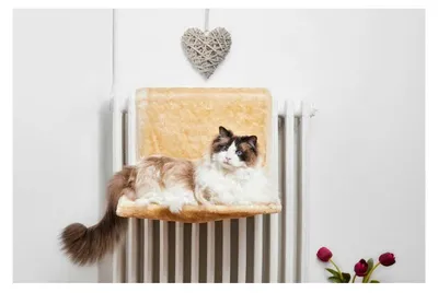 Produktbild von GLORIA 8432288110126 Fidschi Hammock für Katzen, BE, 150 g