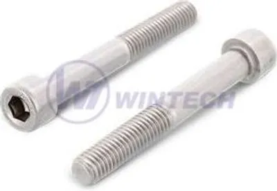 Immagine prodotto di Viti per maniglie per pannelli A2 in acciaio inox M8 x 20 / confezione da 1 pz