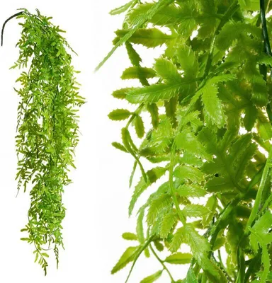 Obrázok produktu pre Natu kvet 278 D.120 cm D.s listami 80 cm Zelená