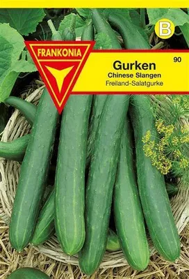 Produktbild von Gurken Chinesische Schlangen