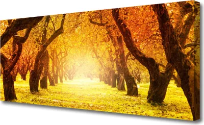 Produktbild von Tulup Leinwand-Bilder 125x50 Wandbild Canvas Kunstdruck Wald Fußpfad Natur