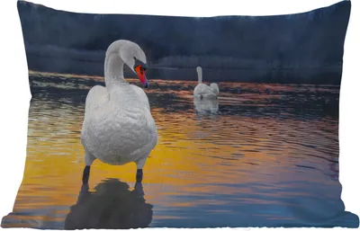 Produktbild von MuchoWow® Outdoor Kissen - Schwan - Vogel - Sonnenuntergang - Wasser - 50x30 cm - Wetterfest - Lounge Kissen - Sofa kissen - Wohnzimmer Dekoration