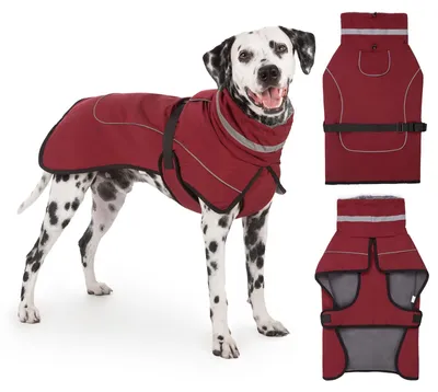 Wasserdichter Hundemantel mit Fleece-Kragen, reflektierend, L, Bordeaux