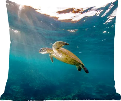 Produktbild von MuchoWow® Zierkissen Sofakissen Wohnzimmer Dekokissen 40x40 cm Schildkröte im klaren Wasser - Foto Kissen - Schlafzimmer Dekoration