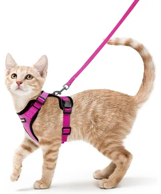 Productafbeelding van Kattenhalsband met lijntje, ontsnappingswerend, verstelbaar, rozenrood, maat S