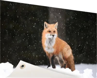 Produktbild von Gartenposter - 60x40 cm - Fuchs in einer Schneeschauer  - Modernes WaldTierposter Bilder - Wilde Tierposter
