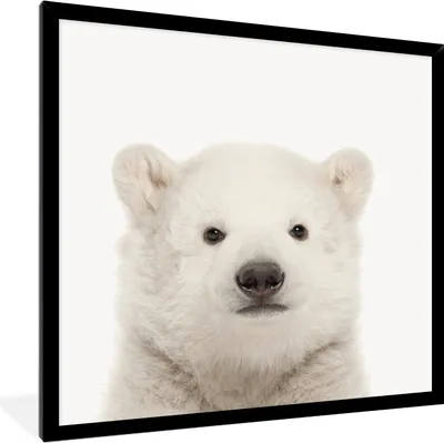 Produktbild von MuchoWow® Gerahmtes Poster Eisbär - Tiere - Weiß - Kinder - Jungen - Mädchen 40x40 cm - Poster mit Schwarzem Bilderrahmen Wandposter Rahmen Foto Bilder - Mit Rahmen - Wanddekoration Schlafzimmer