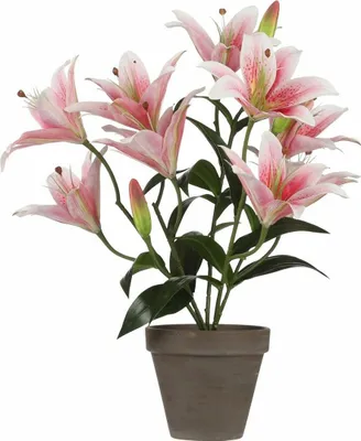 Image de Mica Decorations Lys Tigre Plante artificielle dans pot de fleurs Stan - H47 x Ø45 cm - Rose