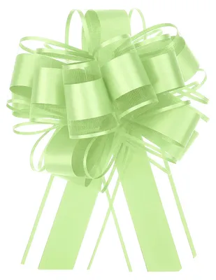12 Organza-Schleifen, 15,2 cm, Fruchtgrün, für Geschenke & Deko