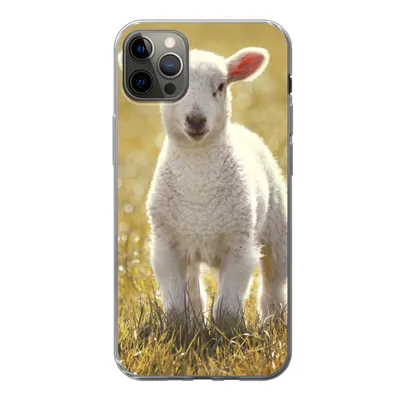 Produktbild von MuchoWow® Handyhülle Schutzhülle Hülle für iPhone 13 Pro Max Lamm - Gras - Sonne Silikon Softcase Handy Hülle - Mobiltelefon