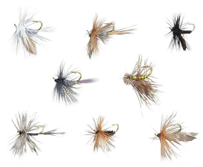 Produktbild von Balzer Edition Fly Trockenfliegen-Sortiment - 8 Fliegen im Set