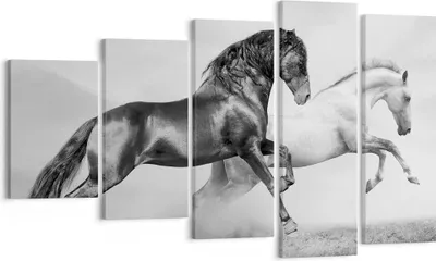 Produktbild von Bild auf Leinwand - Leinwandbild - Pferde Tiere Galopp Wiese - 100x60cm - Wand Bild - Wanddeko - Leinwanddruck - Bilder - Kunstdruck - Wanddekoration - Leinwand bilder - Wandkunst - EG100x60-2683