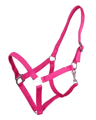 Produktbild von Halfter mit Schiebeschnalle Fuchsia Mini Shetty