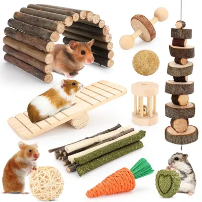 Image de Jouets pour hamsters et autres petits animaux, avec des éléments à mâcher