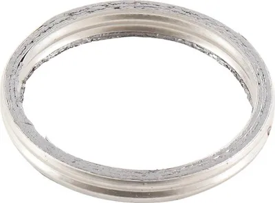Immagine prodotto di Guarnizione, tubo di scarico WINDEROSA W823062