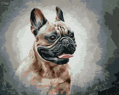 Obrázek produktu pro Zuty - Malování podle čísel - ŠŤASTNÝ FRANCOUZSKÝ BULDOČEK, 40x50 cm, bez rámu a bez vypnutí plátna