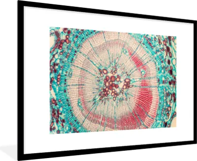 Produktbild von MuchoWow® MuchoWow® Gerahmtes Poster Kreis - Blau - Rot 90x60 cm - Poster mit zchwarzem Bilderrahmen - Wanddekoration - Fotos