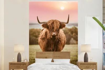 Produktbild von MuchoWow® Fototapete für Wohnzimmer oder Schlafzimmer Wandtapete Vinyl Motivtapete Sonnenuntergang - Tier - Schottischer Highlander - 195x300 cm - Das Hintergrundbild