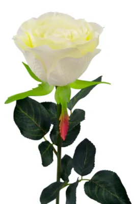 Produktbild von Kunstblume, Gartenrose ca 42cm. Künstliche Rose, Dekoblume Weiß WEISS