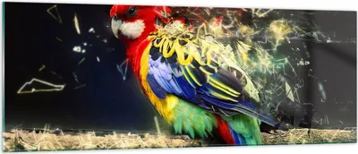 Produktbild von Bilder auf glas - Papagei Vogel Feder - 140x50cm - Glasbilder - Wandbilder - Kunstdruck - zum Aufhängen bereit - Wanddekoration aus Glas - Glas Bilder - Wandbild auf Glas - Einteilig - GAB140x50-3682