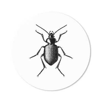 Produktbild von MuchoWow® Mauspad Mousepad Käfer - Tiere - Vintage - Schwarz und weiß 20x20 cm - Mousepads - Maus Mat - Pad - Mausunterlage - Schreibtischmatte