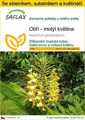 Obrázek produktu pro SAFLAX Kultivační sada - Obří - motýl květina - Hedychum gardnerianum - 10 Semena - S mini skleníkem, pěstebním substrátem a 2 květináči