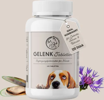 Produktbild von Gelenktabletten für Hunde 120 Stück - Grünlippmuschel, Glucosamin, MSM, Chondroitin & Teufelskralle - bei Gelenkschmerzen & Gelenkproblemen Hund