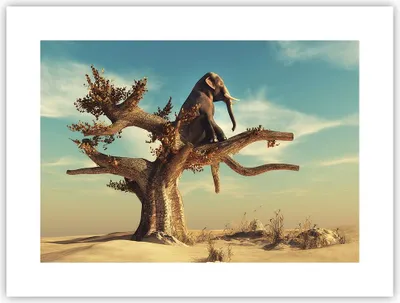 Produktbild von Poster - Poster ohne Rahmen - Sitzen Elefant Baum - 40x30 cm - Wand Bild - Wanddeko - Wandbilder - Kunstposter - Wandposter - Bilder - Kunstdruck - Wanddekoration - Wandbild - P2XAA40x30-4345